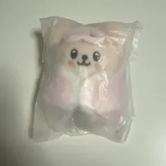 skzoo straykids スンミン ぬいぐるみ 2026年最新】SKzoo ぬいぐるみ スンミンの人気アイテム - メルカリ