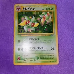 キレイハナ ☆ 拡張パック第1弾 金、銀、新世界へ… - メルカリ