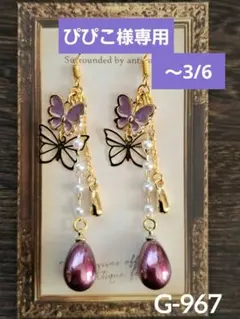 ぴぴこ様専用(～3/6)