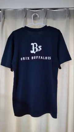 Item thumbnail for item b1821ca1-59ac-4cc7-99a1-2f2ee3128a52