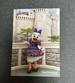 ディズニー　ハロウィン　デイジー　写真　スペフォ  2024