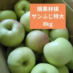 摘果りんご　特大　サンふじ林檎他　約8キロ 送料込み 118のサムネイル