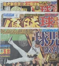 阪神タイガース　リーグ優勝　新聞3紙　まるごと　新品
