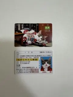 なめ猫 なめんなよカードコレクション２ トラ吉 パロディカードのサムネイル
