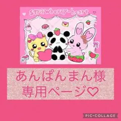 あんぱんまん。様専用ページ