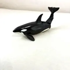 アニア シャチ フィギュア ミニチュア