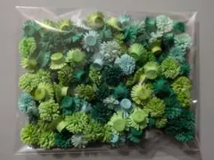 little.t様　ご注文商品　グリーン系極小花　100個