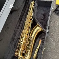 Item thumbnail for item 6cc01df4-cb2a-45c8-808c-cdb0b146b1ff