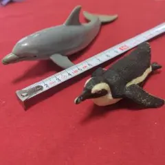 Item thumbnail for item dba6afe2-8cae-48c1-8822-b618a02f71a9