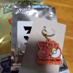 ポケモンチャーム ポケモン30周年ロゴマスコット ヒトカゲ