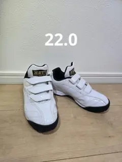 【27.0㎝】　ZETT スエード　スパイクシューズ 野球 ポイントスパイク ウイニングロードWBL | 総合スポーツ企業