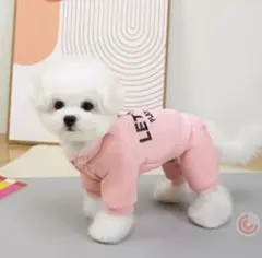 わんちゃんオシャレ英文字ロンパース