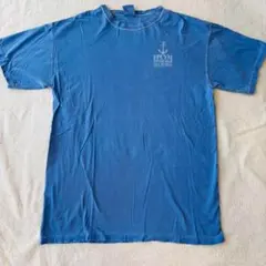 【古着】L 大きめ　バックプリント　ブルー　ダメージ　Tシャツ