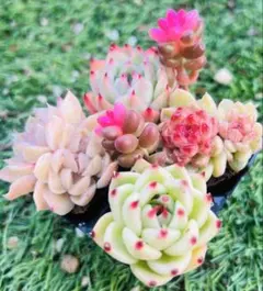 neco様 ご専用　值引100円　おまけ付き　リクエスト 4点 まとめ商品