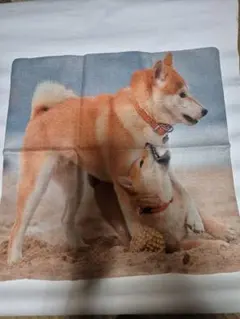 柴犬 クッションカバー