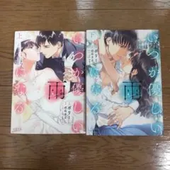 いつか優しい雨になる 上下 ポリー