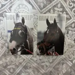 ゴールドシップ　グランアレグリア　ポストカード2枚セット