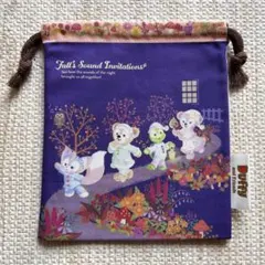 フォールズサウンドインビテーション　ディズニーシー巾着　１枚