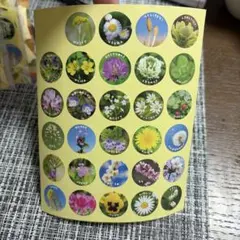 Item thumbnail for item 634b8b77-1e87-45a6-b301-653a37db4c78