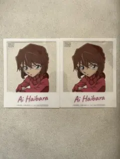 名探偵コナン　コナンプラザ　特典クリアカード　灰原哀