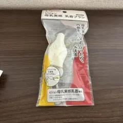 Item thumbnail for item 0e9e6810-4af9-4c34-8b0e-81babb11d2c4