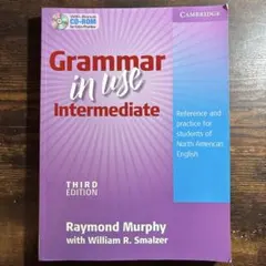 Grammar in use Intermediate