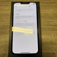 Apple iPhone 13 Pro グラファイト 本体