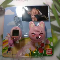 stray kids　skzoo　チャンビン　トレカ　たまごっち　新品未開封