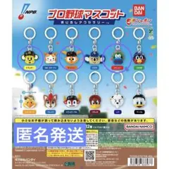 プロ野球マスコット　めじるしアクセサリー