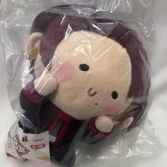 刀剣乱舞 くじ エニマイ びっぐぬいぐるみ 加州清光 B賞