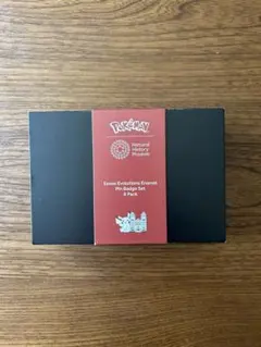 ポケモン ロンドン自然史博物館 イーブイ ピンバッジ セット - メルカリ