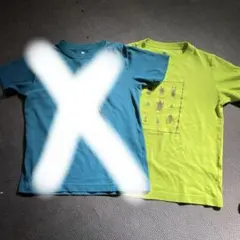 黄緑のみ　モンベル　昆虫プリント Tシャツ 140 mont-bell