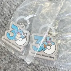 ポケモン 30周年 メタルチャームマスコット