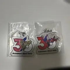 ポケモン 30周年 メタルキーホルダー めじるしアクセサリー