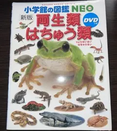 [新版]　小学館の図鑑NEO　両生類　はちゅう類
