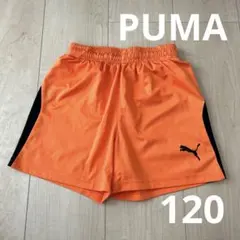 PUMA プーマ　ハーフパンツ　ドライ　キッズ　120