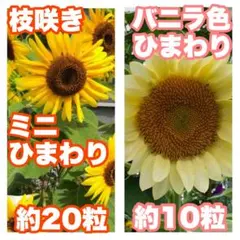 ゆあ/整理中　即購入OK様 リクエスト 2点 まとめ商品