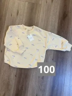 Item thumbnail for item 67b02632-6917-417e-9c56-a06e8cc4d3d9