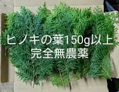 ヒノキの葉150g以上　完全無農薬　注文後に採取します
