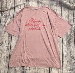 VEHEMENT. ロゴTシャツ ピンク Mサイズ