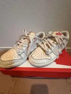 NIKE DUNK LOW RETRO SE