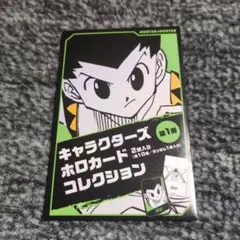 HUNTER×HUNTER キャラクターズホロカードコレクション 第1弾