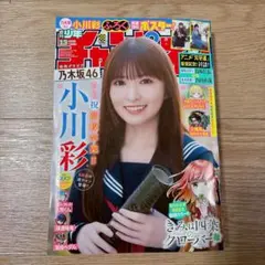 2026年最新】小川彩 チャンピオンの人気アイテム - メルカリ