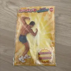 なかやまきんに君 筋肉ポーズアクスタのサムネイル