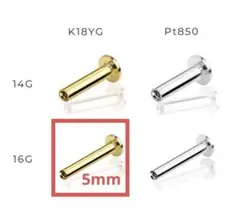 Item thumbnail for item bf616919-0c69-4a88-8186-cf66a5602f30