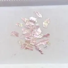 【残り1点】ネイルパーツ　シェルフレーク　貝殻　夏　ビーチ　ピンク　デコ