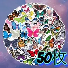 Item thumbnail for item b9bde79f-d91f-4b0b-be00-0f3234aa0735