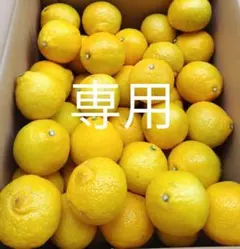 アタカ様専用ページです。