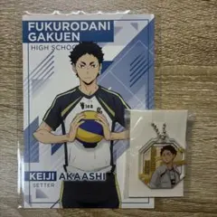 ハイキュー　赤葦京治 アクキー　ポストカード