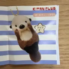 かわいいかわいいぬいぐるみ BIGラッコ ラッコC